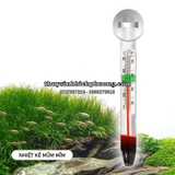 CHUBBY THERMOMETER - NHIỆT KẾ MŨM MĨM