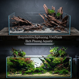 CIBI AQUA REMOVE CLO – DUNG DỊCH KHỬ CLO, KHỬ NƯỚC MỚI