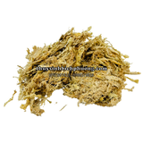 DỚN CHILE (TÚI 100GR) - DỚN MỀM, DỚN KHÔ, DỚN TRẮNG, GIÁ THỂ TRỒNG LAN, CÂY BẮT MỒI, KIỂNG LÁ