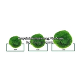 MARIO MOSS BALL - TẢO CẦU RÊU NHẬT BẢN