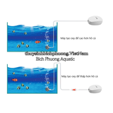 VAN 1 CHIỀU OXY CO2 TAIWAN NHỰA