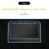 HỒ KÍNH CHỮ NHẬT SIÊU TRONG TSA VIỆT NAM