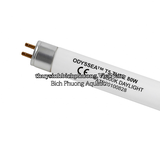 BÓNG ĐÈN ODYSSEA T5HO 10000K – BÓNG THAY THẾ CHÍNH HÃNG CHO MÁNG ĐÈN ODYSSEA