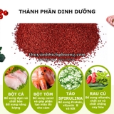 BIOZYM TROPICAL FISH FOOD - THỨC ĂN HẠT NỔI CHO CÁ CẢNH