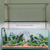 CHÂN TREO / GIÁ TREO ĐÈN ĐÔI INOX MAD M1 CHO HỒ 60CM - 90CM - 120CM - 150CM