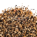 CÁT CAFE - COFFEE SAND