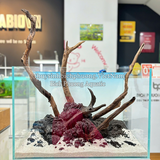 ĐÁ ĐEN GIA LAI – ĐÁ TRANG TRÍ HỒ CÁ THỦY SINH, LÓT NỀN, DECOR