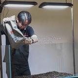 ADA POWER SAND ADVANCE – CỐT NỀN CAO CẤP