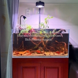 ĐÈN LED RỌI LOVE ECOLOGY WRGB  (APP)