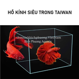 HỒ KÍNH SIÊU TRONG TAIWAN - HỒ CÁ THỦY SINH