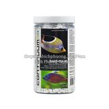 CONTINUUM AQUATICS BACT•ROX LARGE (SIZE M) HỘP 1L - VẬT LIỆU LỌC CAO CẤP