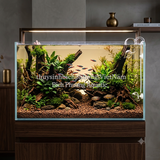 NỀN GỐM VI SINH NÂU - BROWN BIO CERAMIC SUBSTRATE