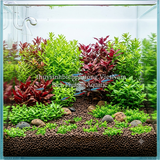 NỀN GỐM VI SINH NÂU - BROWN BIO CERAMIC SUBSTRATE