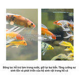 BLACK FILTER FOAM - MÚT ĐEN LỌC NƯỚC