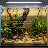 CÁT SUỐI XÁM MUỐI TIÊU - GREY STREAM SAND