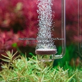AQUARIO NEO CO₂ DIFFUSOR CURVED SPECIAL  -  CỐC SỦI CO2 SIÊU MỊN