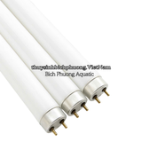 BÓNG ĐÈN JEBO T8HO 10000K – BÓNG THAY THẾ CHÍNH HÃNG CHO MÁNG ĐÈN JEBO