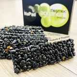 NAPAD ĐEN  - GIÁ THỂ TRỒNG CÂY