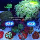 ĐÈN CHIHIROS NOVA 1 MARINE CORAL LIGHT CHO HỒ CÁ BIỂN