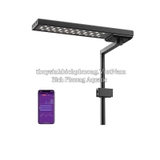 ĐÈN LED CHIHIROS CII/C2 RGB CAO CẤP