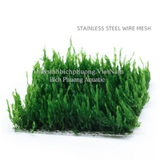 VĨ INOX 304 ƯƠM RÊU, RÁY NANA, DƯƠNG XỈ, BUCEP (8*8CM)