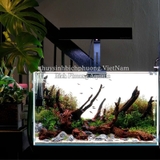 ĐÈN LED CHIHIROS RGB VIVID 2 MINI CAO CẤP