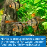 API NO2 TEST KIT - BỘ KIỂM TRA NITRITE