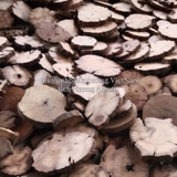 COMBO 5 MIẾNG GIÁ THỂ GỖ ƯƠM RÁY – BUCEP – RÊU THỦY SINH