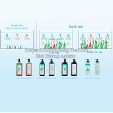 CHIHIROS ZETA “A” 450ML (Algaecide) - PHÒNG & DIỆT RÊU HẠI, TẢO HẠI