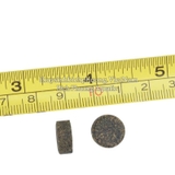 SUNSUN SMALL FISH SPECIAL SL-14 - THỨC ĂN VIÊN DÁN CHO CÁ