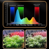 ĐÈN LED RỌI LOVE ECOLOGY WRGB  (APP)