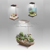ĐÈN LED TIỂU CẢNH XINMA 12W - ĐÈN LED TERRARIUM