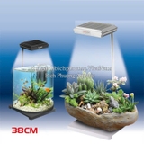 ĐÈN LED TIỂU CẢNH XINMA 12W - ĐÈN LED TERRARIUM
