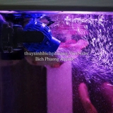 MÁY THỔI LUỒNG SUNSUN – TẠO DÒNG MẠNH, TĂNG OXY HIỆU QUẢ CHO HỒ CÁ