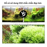 VIÊN SỦI CO2 SUNSUN - DỄ DÙNG, TIẾT KIỆM