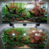 CIBI AQUA REMOVE CLO – DUNG DỊCH KHỬ CLO, KHỬ NƯỚC MỚI