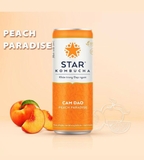 Trà KOMBUCHA Bổ sung lợi khuẩn- Men vi sinh 250ml