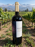 Rượu Vang Đỏ Vultus Reserva Cabernet Sauvignon 2020 - Chile D.O. Colchagua Valley