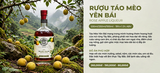 Rượu Táo Mèo Yên Bái MẦM Craft Distillery 530ml 19% - Táo Mèo Sơn Tra Mù Cang Chải