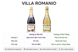 Nước Nho Có Ga Villa Romanio Úc - Sparkling Grape Juice Không Cồn 750ml - Vị Nho Đỏ / Nho Trắng