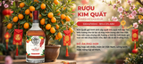 Rượu Kim Quất 530ml - Kumquat Liqueur - Rượu Quất Vàng Hưng Yên Ngâm Mật Ong Thủ Công - Quà Biếu Tết