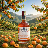 Rượu Mơ Má Đào Mộc Châu MẦM Craft Distillery 530ml 19%