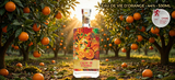 Rượu Cam Eau De Vie D'Orange 44% 530ML - Huy Chương Bạc Lyon 2026 - Cam Tươi