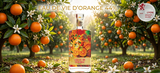 Rượu Cam Eau De Vie D'Orange 44% 530ML - Huy Chương Bạc Lyon 2026 - Cam Tươi