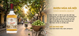 Rượu Mùa Hà Nội 19% 530ml - Hanoi Season Liqueur - Rượu Sấu Hà Nội Ngâm Gừng Thủ Công - Quà Biếu Hà Nội