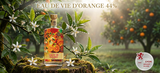 Rượu Cam Eau De Vie D'Orange 44% 530ML - Huy Chương Bạc Lyon 2026 - Cam Tươi