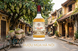 Rượu Mùa Hà Nội 19% 530ml - Hanoi Season Liqueur - Rượu Sấu Hà Nội Ngâm Gừng Thủ Công - Quà Biếu Hà Nội