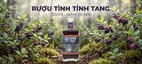 Rượu Tình Tính Tang 530ml 24% - Rượu Sim Rừng Ngâm Cacao và Vỏ Chanh Giấy