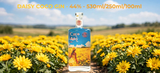 Rượu Daisy Coco Gin 44% 530ML - Gin Hoa Cúc Chi Đà Lạt - Craft Gin Thủ Công