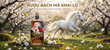 Rượu Mơ Bạch Mã Khai Lộ 40% 700ML - White Stallion - Mơ Ủ Gỗ Sồi - Apricot Brandy